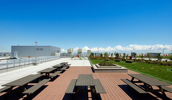 スカイテラス（屋上アメニティスペース）